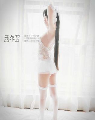 二炮手免费观看完整版在线播放