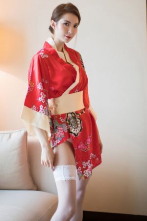 康熙微服私访记4全集免费